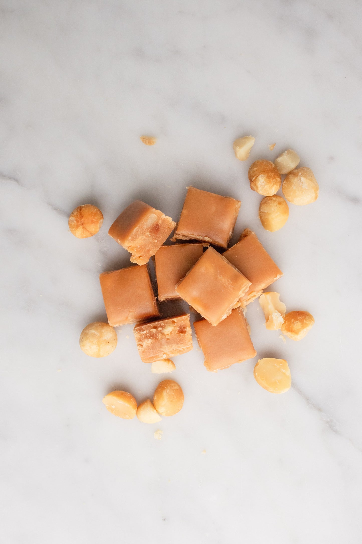 House of Chocolate - Roasted Macadamia Fudge